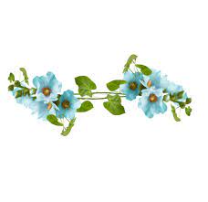 Pngtree provides you with 116,826 free transparent blue png, vector, clipart images and psd files. Ø³ÙƒØ±Ø§Ø¨Ø² ÙˆØ±Ø¯ Ø§Ø¨ÙŠØ¶ ØµØºÙŠØ± Png Abyad Blog