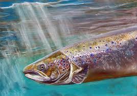 Riseseries#2fly fishing art | fly fishing prints. Amazon Com Underwater Salmon Art Print Fly Fishing Artwork Salmon Painting Wall Art Fly Fishing Gift Salmon Fishing Angling Wall Art Print Fishing Gift Idea Salmon Wall Art Hand Signed Fishing Print