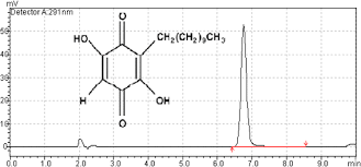 Image result for Embelia schimperi