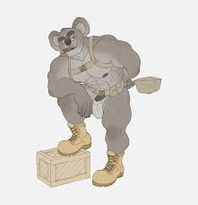 Buff koala