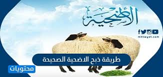 ماذا نقول عند ذبح الاضحية ، فإنّه على المضحي أن يعرف ما هي الآداب الذي عليه مراعاتها عند ذبح الأضحية وهي ما يُسمى بآداب الذَّكاة والذَّكاة هي النحر أو الذبح وتتلخص هذه الآداب في. Ø·Ø±ÙŠÙ‚Ø© Ø°Ø¨Ø­ Ø§Ù„Ø§Ø¶Ø­ÙŠØ© Ø§Ù„ØµØ­ÙŠØ­Ø© Ø§Ù„Ø§Ø³Ù„Ø§Ù…ÙŠØ© ÙˆØªÙˆØ²ÙŠØ¹Ù‡Ø§ Ù…ÙˆÙ‚Ø¹ Ù…Ø­ØªÙˆÙŠØ§Øª