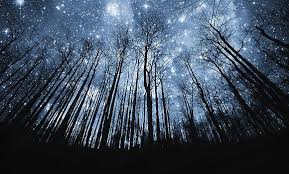 Terima kasih sudah mengklik video ini jangan lupa like dan subscribe agar aku lebih semangat mengupload video! Gambar Pemandangan Langit Malam Gambar Pemandangan Indah Night Sky Wallpaper Silhouette Canvas Beautiful Night Sky