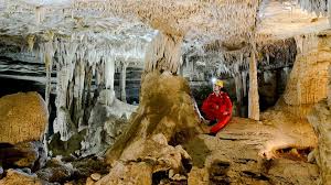 We did not find results for: Quando O Sertao Do Nordeste E O Saara Eram Verdes Revista Pesquisa Fapesp