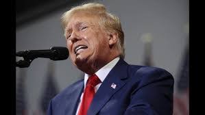 Angelika Eberl's Instagram, Twitter & Facebook