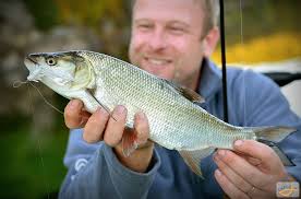 Aktivita uživatele "HaD"