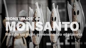 Resultado de imagen de monsanto y la microcefalia