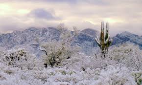 [Image: images?q=tbn:ANd9GcTDTx0ufbF31sSRxh4R2vS...SCgF3-ZRPw]