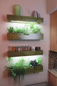 Indoor Growing Under Lights With Leslie Halleck A Way To Garden Jardiniere Interieur Jardins Verticaux Interieurs Decoration Plante