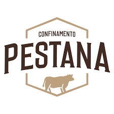Alla luce di un fenomeno che ormai è destinato a travalicare tutte le quote (del resto di fatto mai rispettate, con la conseguenza dell'incremento di stranieri clandestini), molti avvertono l'inadeguatezza del vecchio.leggi tutto Confinamento Pestana Home Facebook