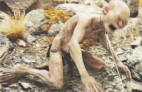 Résultat de recherche d'images pour "dragging cat leash"