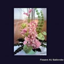 Veliki izbor opcija smještaja u svim područjima. Flowers4u Flowers4u Fflowers4u Twitter