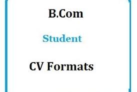 Crafting an excellent resume is essential in the competitive world of job search for freshers. Mba Bcom Cv Template Cv Format And Cv Sample