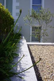 Olea Europaea Agapanthus Black Pantha Rosa Banksiae Alba Plena Agata Byrne Award Winning Garden Designer La Garden Architecture Coastal Gardens Garden