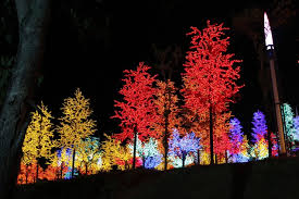 The band as one has words and music to share with the world, to reach people that cannot be reached by others, and to be a light wherever there may be. A Quiet Life In Shah Alam Areainsider