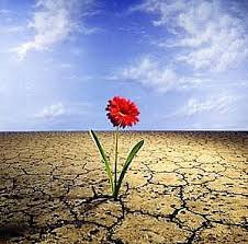 Resultado de imagen de resiliencia