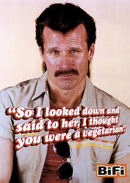 Bifi: "VEGETARIAN" Print Ad by BBH London