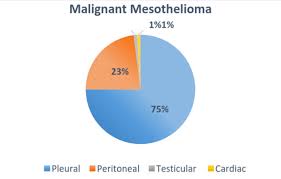 Medically reviewed by james stevenson, m.d. Malignant Mesothelioma Surviving Mesothelioma