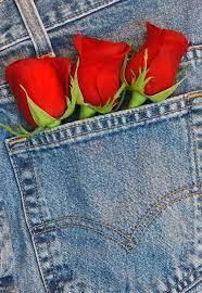 Pin By E L S I E On Flowers Plants Blue Jean Baby Shades Of Red Red And Blue
