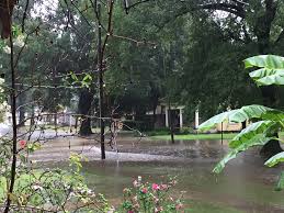 Stuttgart Daily Leader