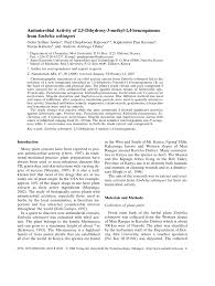 Image result for Embelia schimperi