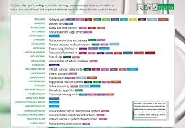 What The Funk Terpenes Take Off In Labs Drug Companies