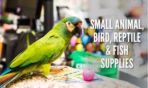 Peoples love pet same as their child. Oet3xmge47pkkm