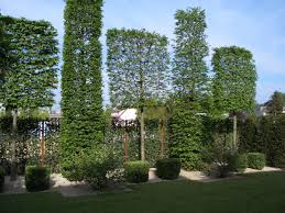 Pin Auf Garten