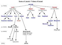 The Sons Of Jacob And The Zodiac The Tree Of Life