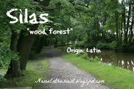 Boys Name Silas Ancient Roman Names Boy Names Roman Names