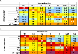 bkv neutralizing responses in mice the chart shows the