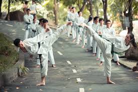Most major sports teams also have their own categories and quizzes. Martial Arts Quiz Which Martial Art Is Right For You Quizpin