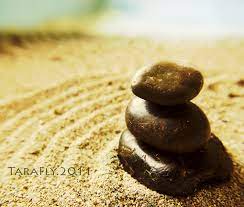 I Created A Japanese Zen Garden In My Cats Litter Box Lol Zen Garden Japanese Zen Garden Zen