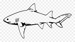 Check spelling or type a new query. Lemon Drawing Clip Art Fish Tank Transprent Shark Clipart Black And White Png Download 4051805 Pinclipart