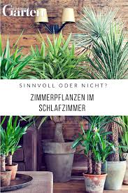 Aus diesem grund gibt es einige pflanzenfreunde die unsicher sind, ob sie zimmerpflanzen in ihr schlafzimmer stellen können. Pflanzen Im Schlafzimmer Gesund Oder Schadlich Pflanzen Zimmerpflanzen Schlafzimmer Pflanzen