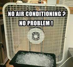 Pin On Funny Pics