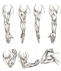 How To Draw Muscles Step By Step For Kids Beginners