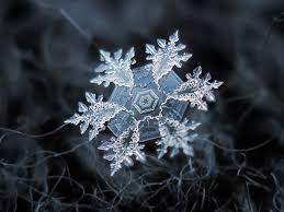 Get stunning snowflake images for free from our handpicked collection hd to 4k quality free for commercial use download for free! Snowflake With Black Background Hd Wallpaper Wallpaper Flare