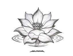 Pencil Sketches Lotus Flower 1000 Images About Lotus Flowers On Lotus Flower Tattoo Design Lotus Tattoo Design Black Lotus Tattoo