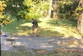 Ilie năstase vrea să presteze muncă în folosul comunităţii! Tudor Pendiuc MuncÄƒ In Folosul ComunitÄƒÅ£ii AdunÄƒ Frunze Din Parc Universul Argesean