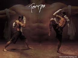 Martial arts hd wallpapers backgrounds wallpaper 1920×1280. Muay Thai Wallpapers 2016 Wallpaper Cave