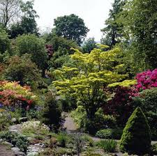 Glendoick garden centre, glencarse, perth, ph2 7ns. Branklyn Parks And Gardens En