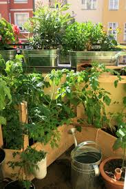 Ein Bisschen Selbstversorgung Auf Dem Balkon Diy Balkon Beet Mini Hochbeet Selbstversorgung Auf Dem Balkon Diy Hoc Balkon Beet Balkon Balkon Pflanzen