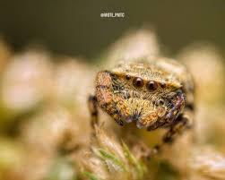 Photography is an austere and blazing poetry of the real. ~ Ansel Adams ~