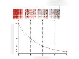 | meaning, pronunciation, translations and examples. Radioactivity Half Life Diagram Quizlet