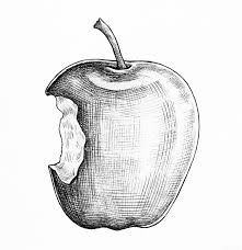 Selanjutnya pada bagian atas buah apel buat seperti tangkai dan daun. Sketsa Buah Dan Cara Belajar Membuat Sketsa Buah Untuk Pemula