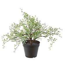 Fejka Artificial Potted Plant Indoor Outdoor Decoration Grass Ikea Artificial Potted Plants Artificial Flowers And Plants Artificial Plants