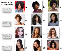 15 Black Hair Type Chart Image Of Black Hair Regimage Co