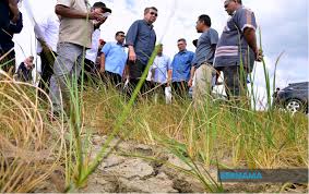 Kecekapan menggunakan input pengeluaran untuk mengeluarkan hasil yang maksimum. Sawah Kering Moa Akan Segera Bantu Salahuddin Jabatan Penerangan Malaysia