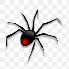 The spiders spin large webs in which females suspend a cocoon with. Cartoon Spider Web Pictures Images Cartoon Spider Web Pictures Transparent Png Free Download