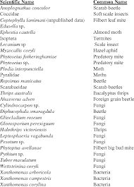 Common and scientific names of inscet pests. Pdf Pest And Disease Analysis In Hazelnuts Semantic Scholar
